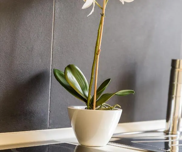 Rona Superior * Abbázia