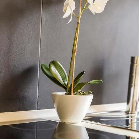 Rona Superior * Opatija