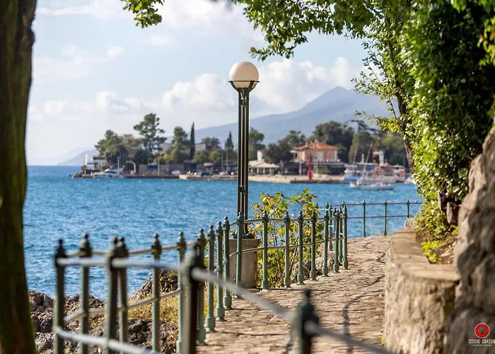 Apartament Rona Superior *